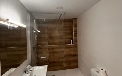¿Cuánto cuesta cambiar bañera por ducha en Santa Coloma?